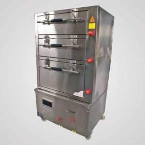 Induction cabinet steamer electric